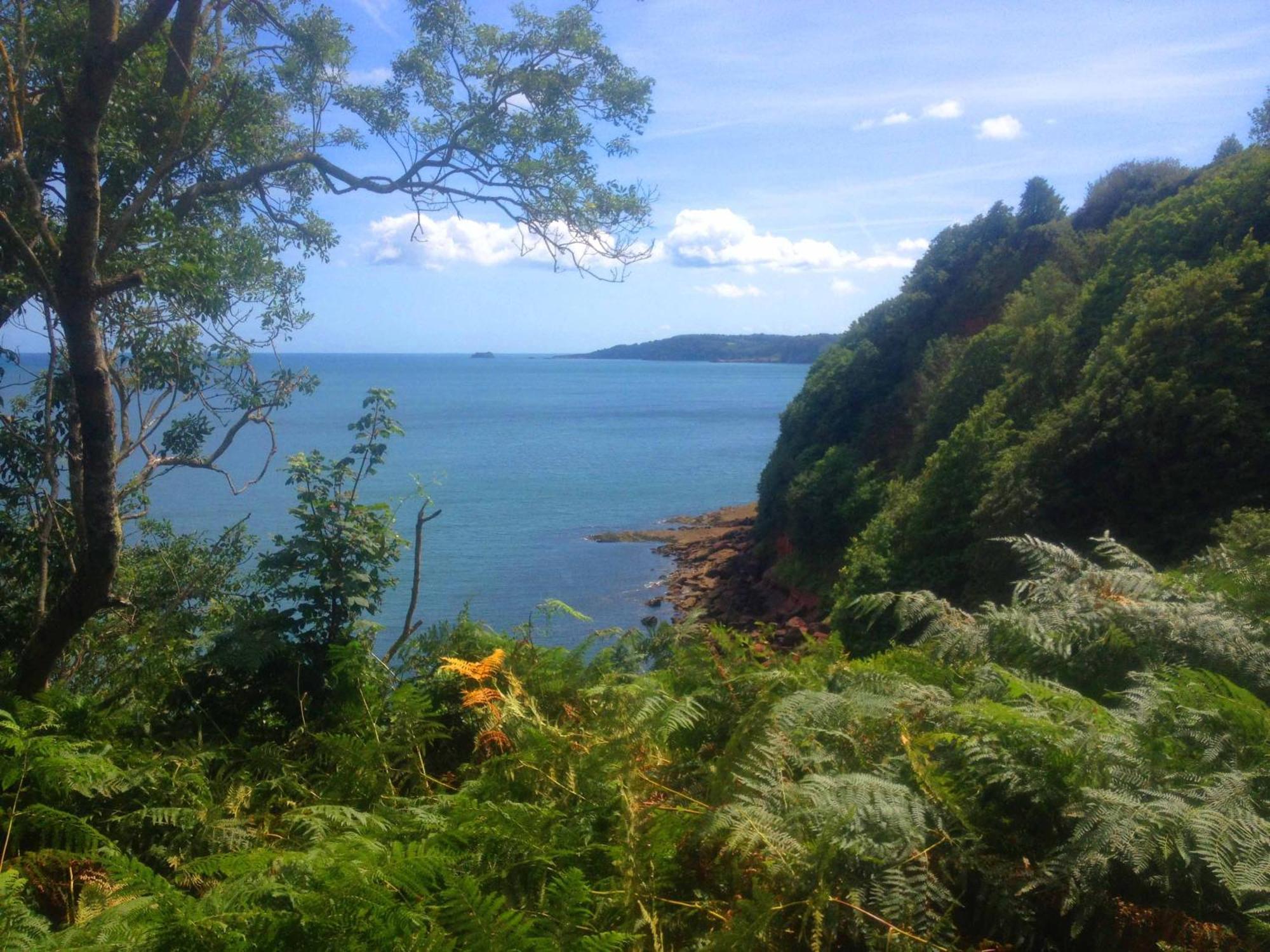 Tide House Seaside Holiday Cottage Shaldon Esterno foto